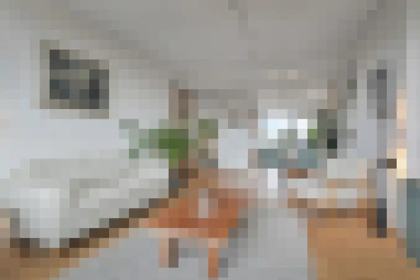 Segbroeklaan 418 L Den Haag thumbnail 8