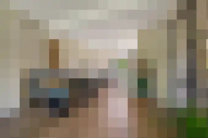 Segbroeklaan 420 A Den Haag thumbnail 11