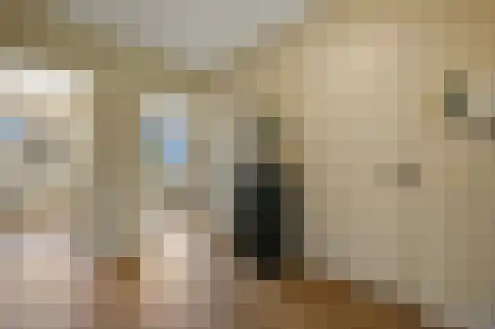 Segbroeklaan 420 A Den Haag thumbnail 20