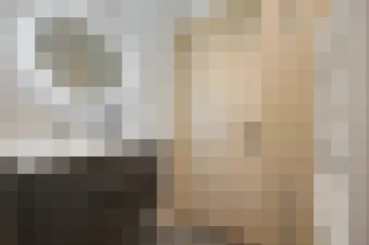 Segbroeklaan 420 A Den Haag thumbnail 25
