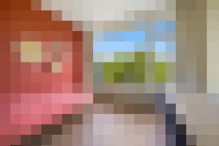 Segbroeklaan 420 A Den Haag thumbnail 27