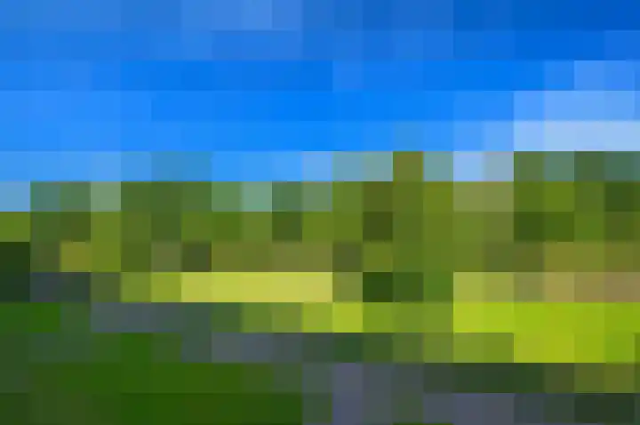Segbroeklaan 420 A Den Haag thumbnail 28
