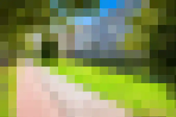 Segbroeklaan 420 A Den Haag thumbnail 29