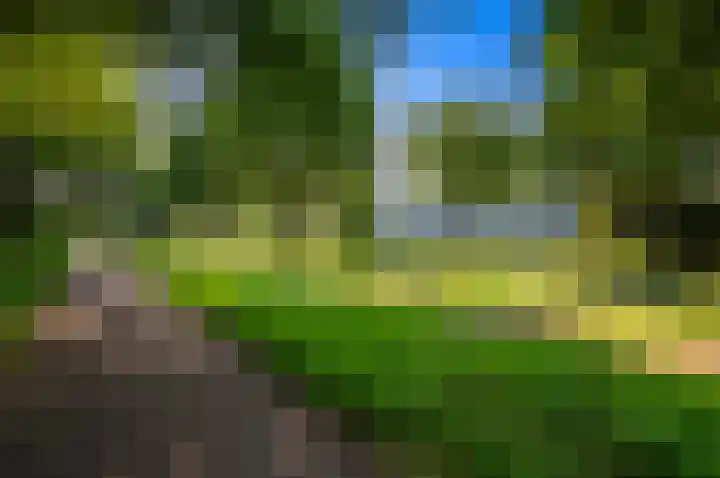 Segbroeklaan 420 A Den Haag thumbnail 38
