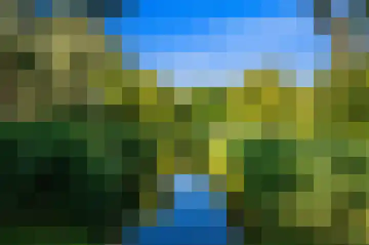 Segbroeklaan 420 A Den Haag thumbnail 40