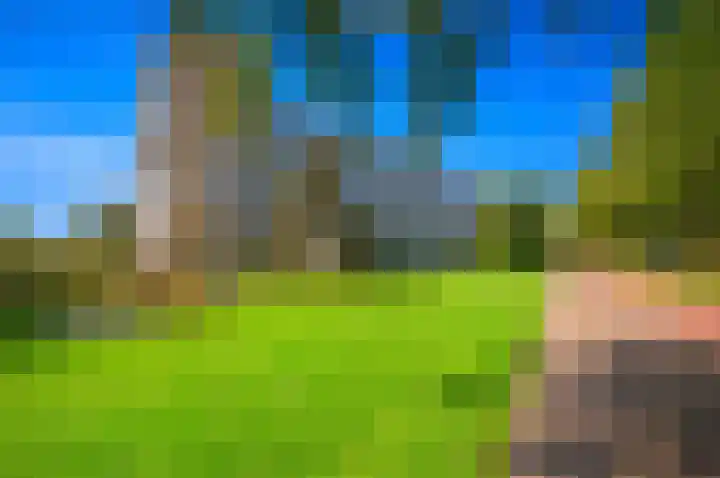 Segbroeklaan 420 A Den Haag thumbnail 5