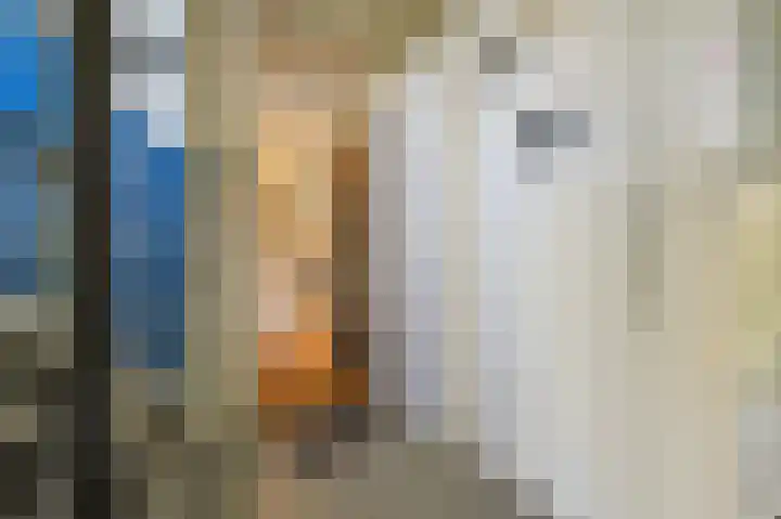 Segbroeklaan 420 A Den Haag thumbnail 6