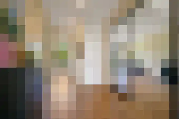 Segbroeklaan 420 A Den Haag thumbnail 9