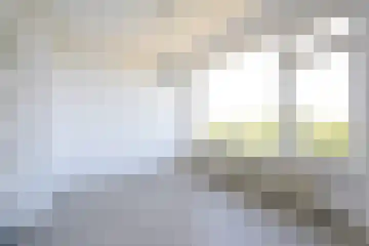 Segbroeklaan 424 A Den Haag thumbnail 10