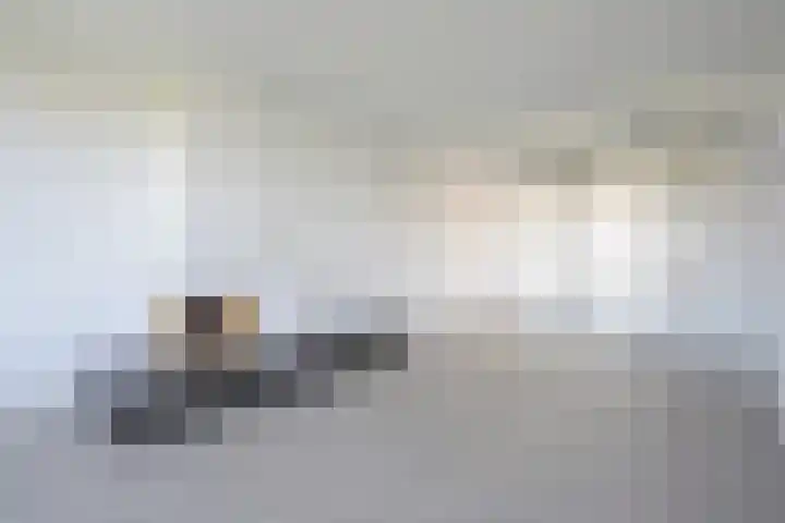 Segbroeklaan 424 A Den Haag thumbnail 12