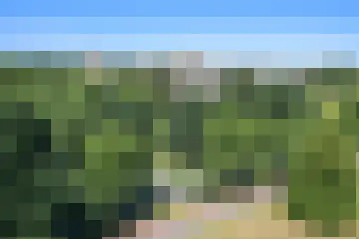 Segbroeklaan 424 A Den Haag thumbnail 34