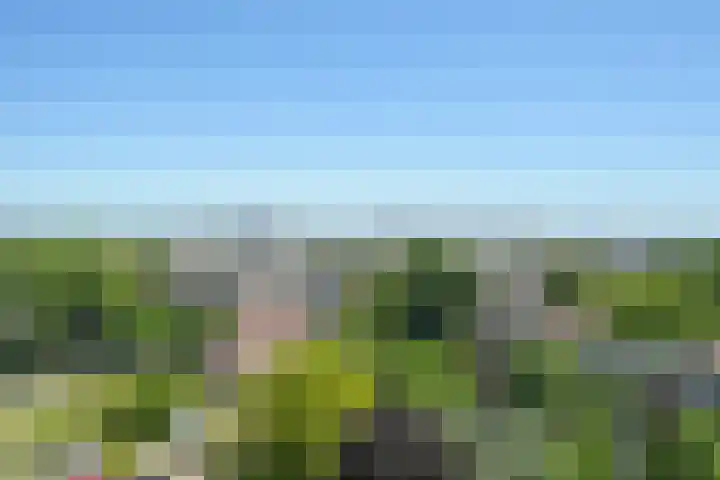 Segbroeklaan 424 A Den Haag thumbnail 36
