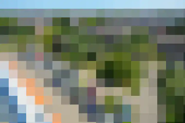Segbroeklaan 424 A Den Haag thumbnail 37