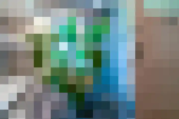 Segbroeklaan 424 A Den Haag thumbnail 38