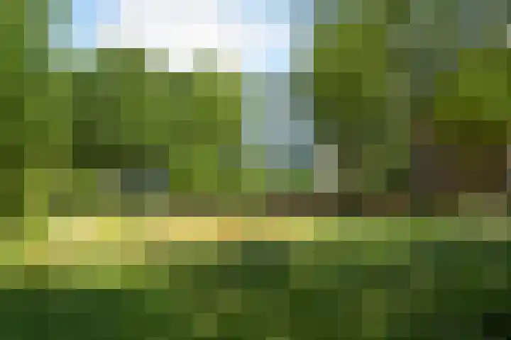 Segbroeklaan 424 A Den Haag thumbnail 47
