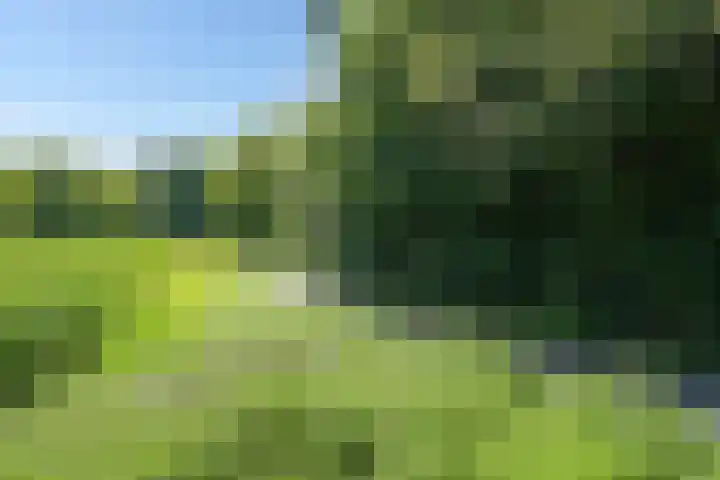 Segbroeklaan 424 A Den Haag thumbnail 48