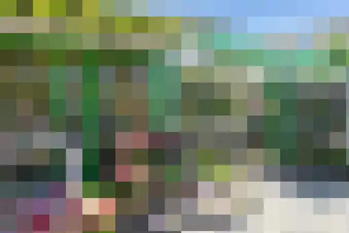 Segbroeklaan 424 A Den Haag thumbnail 50
