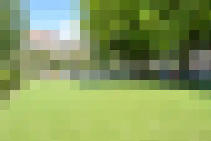 Segbroeklaan 424 A Den Haag thumbnail 52