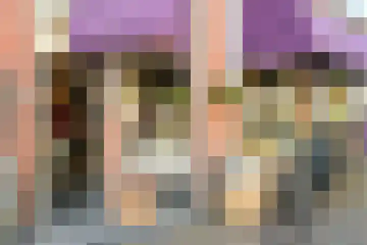 Segbroeklaan 424 A Den Haag thumbnail 53