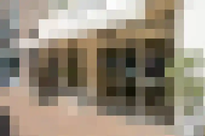 Segbroeklaan 424 A Den Haag thumbnail 55