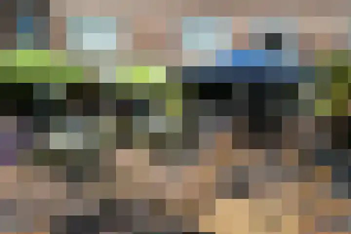 Segbroeklaan 424 A Den Haag thumbnail 57