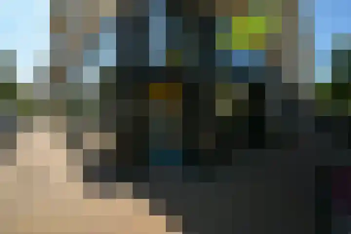 Segbroeklaan 424 A Den Haag thumbnail 60