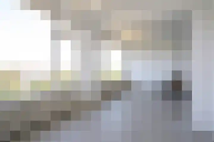Segbroeklaan 424 A Den Haag thumbnail 7