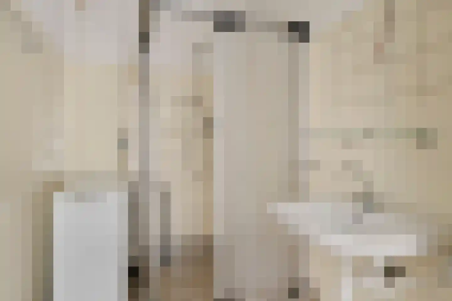 Segbroeklaan 424 C Den Haag thumbnail 21