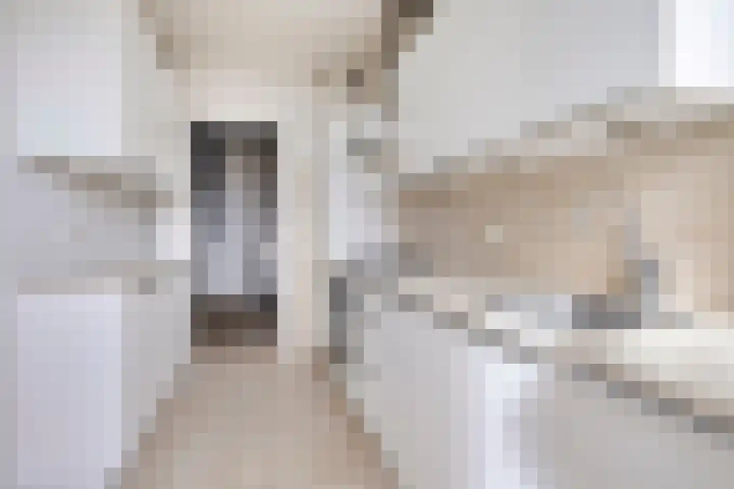 Segbroeklaan 424 C Den Haag thumbnail 5