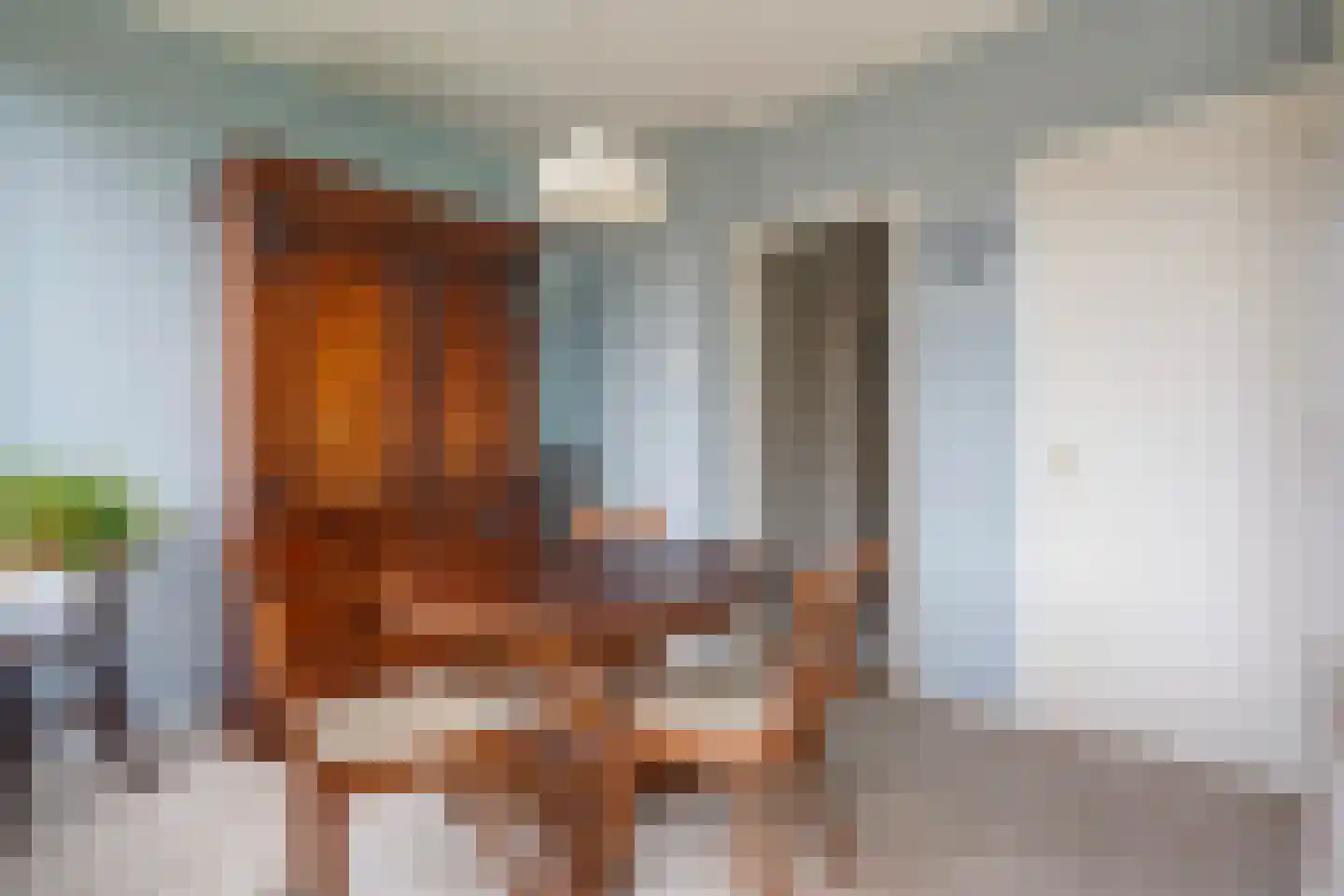 Segbroeklaan 424 N Den Haag thumbnail 11