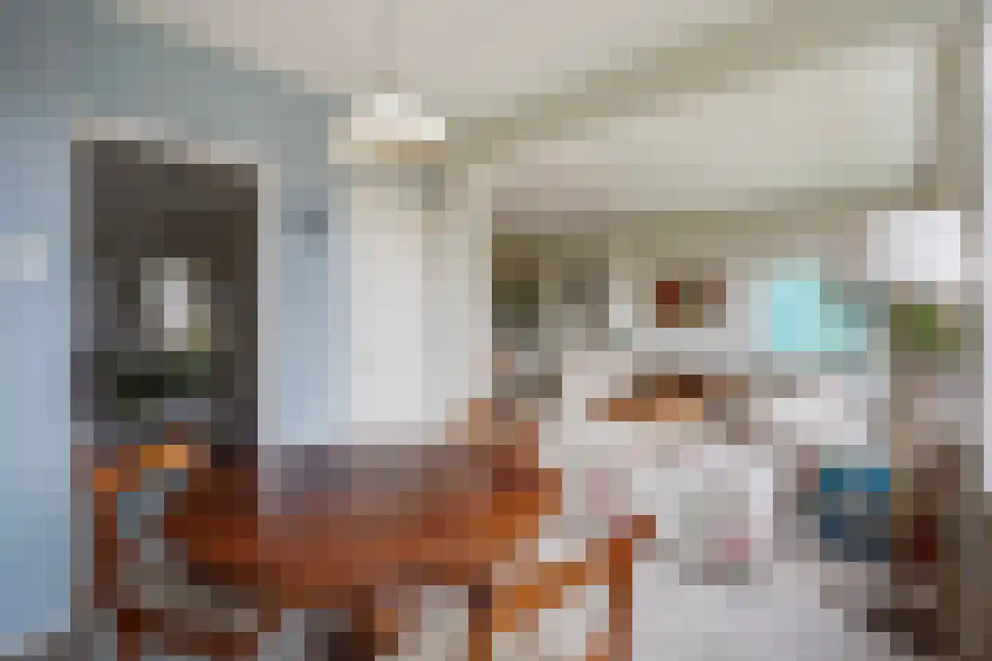 Segbroeklaan 424 N Den Haag thumbnail 12