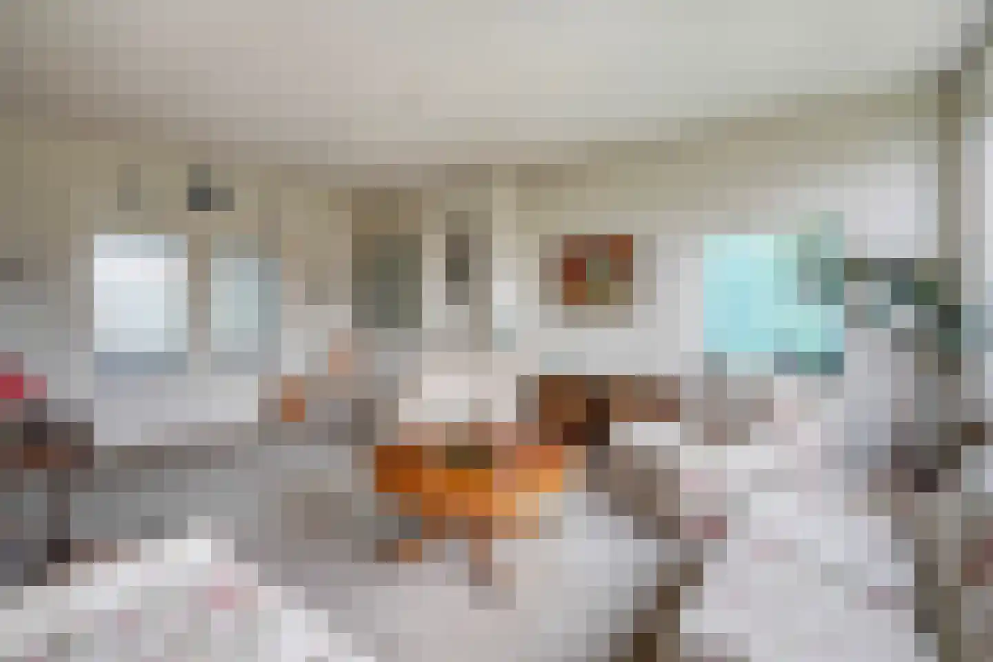 Segbroeklaan 424 N Den Haag thumbnail 13