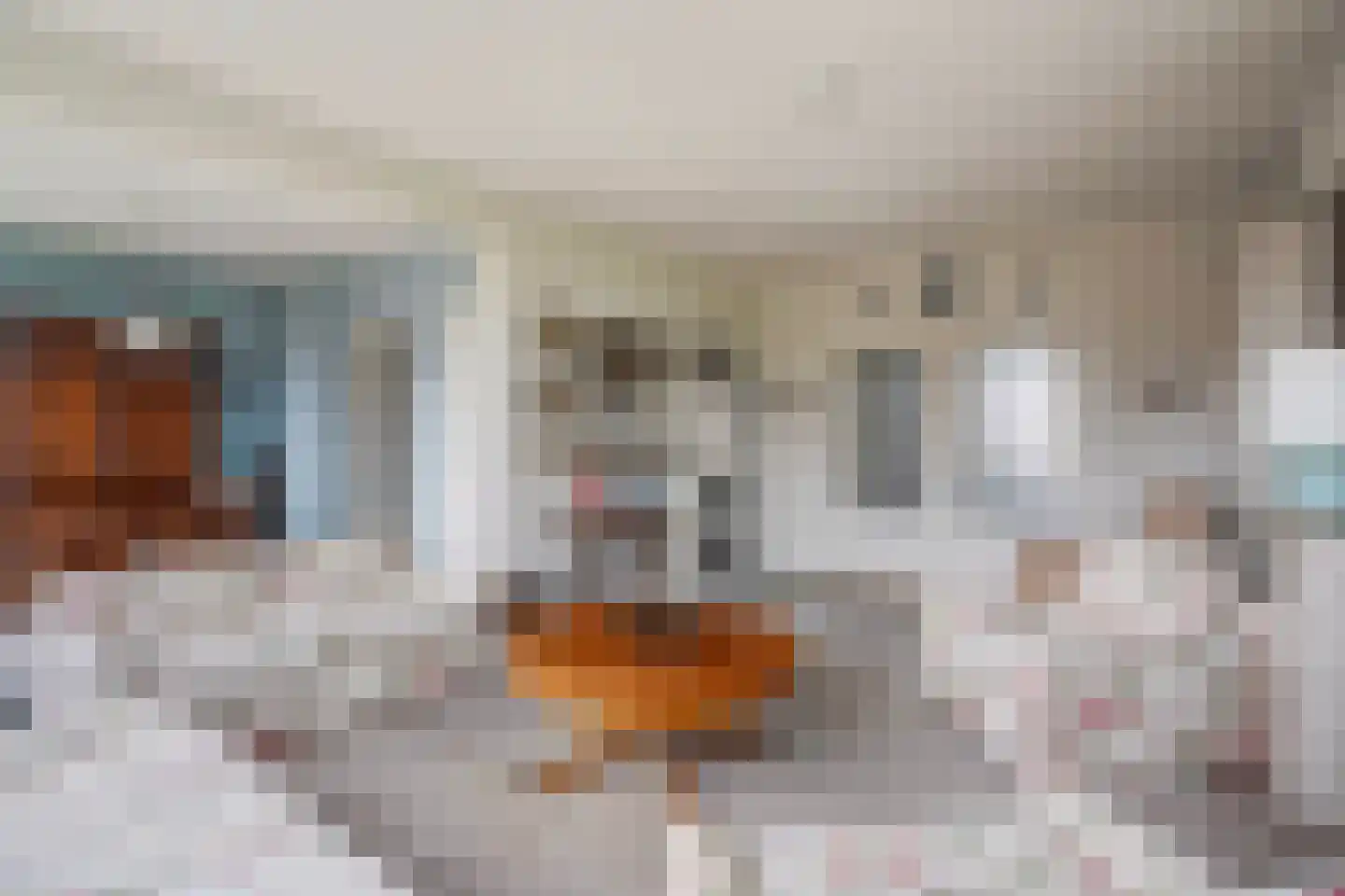 Segbroeklaan 424 N Den Haag thumbnail 14