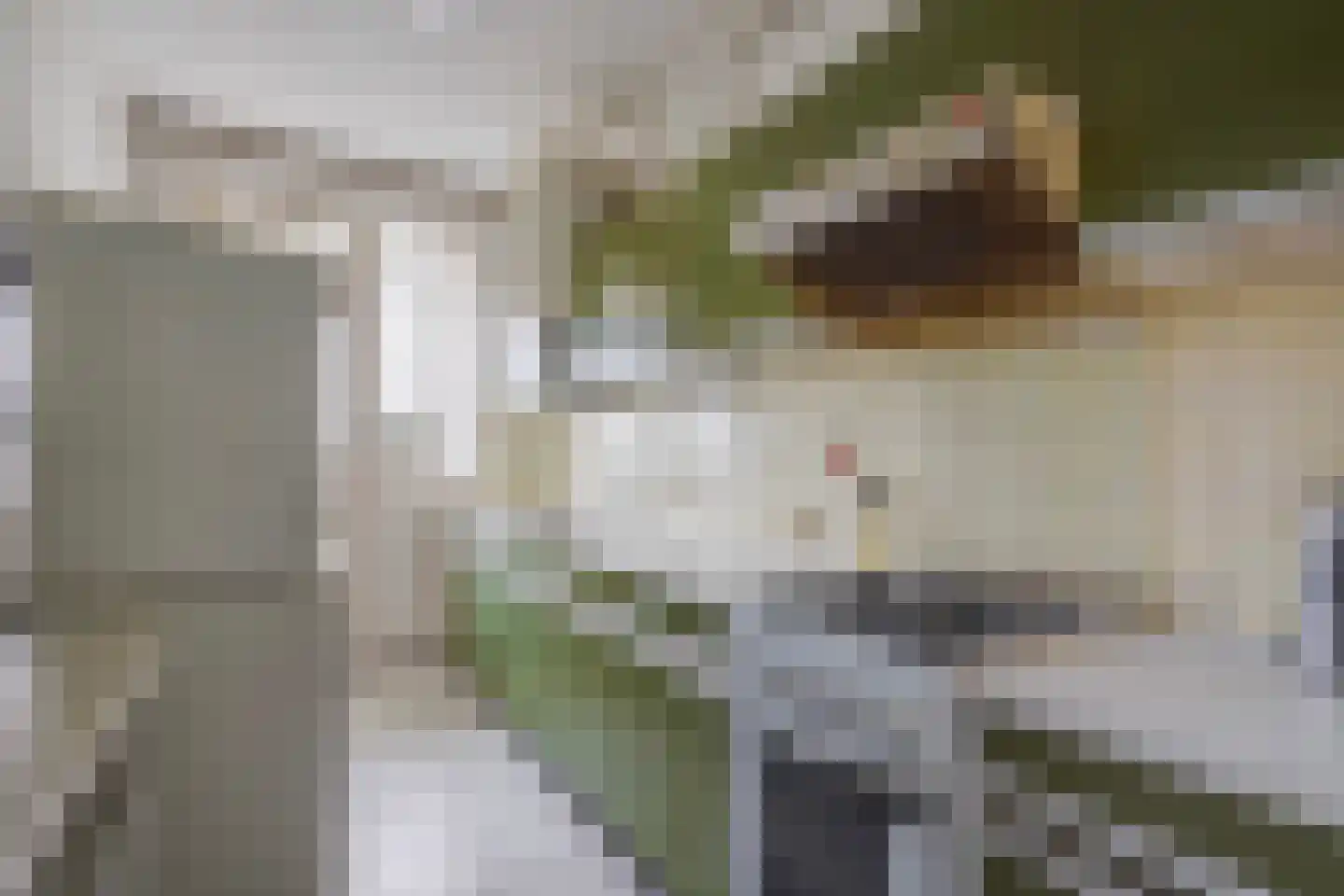 Segbroeklaan 424 N Den Haag thumbnail 19