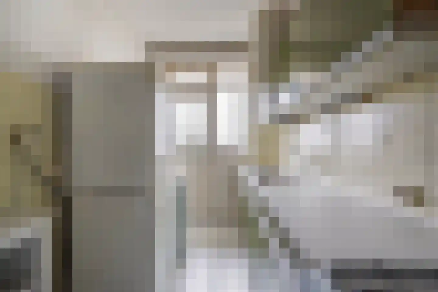 Segbroeklaan 424 N Den Haag thumbnail 20