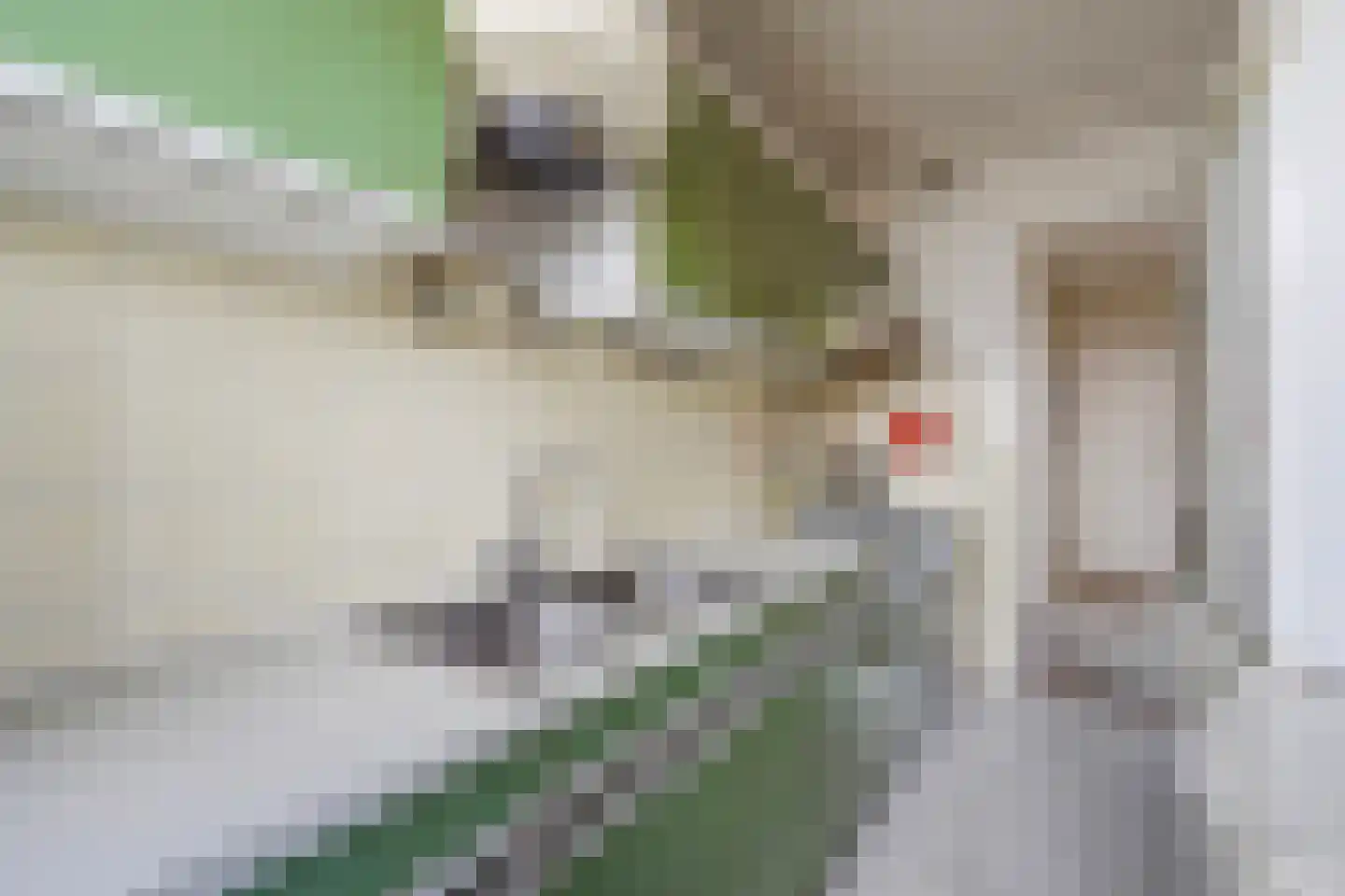 Segbroeklaan 424 N Den Haag thumbnail 25