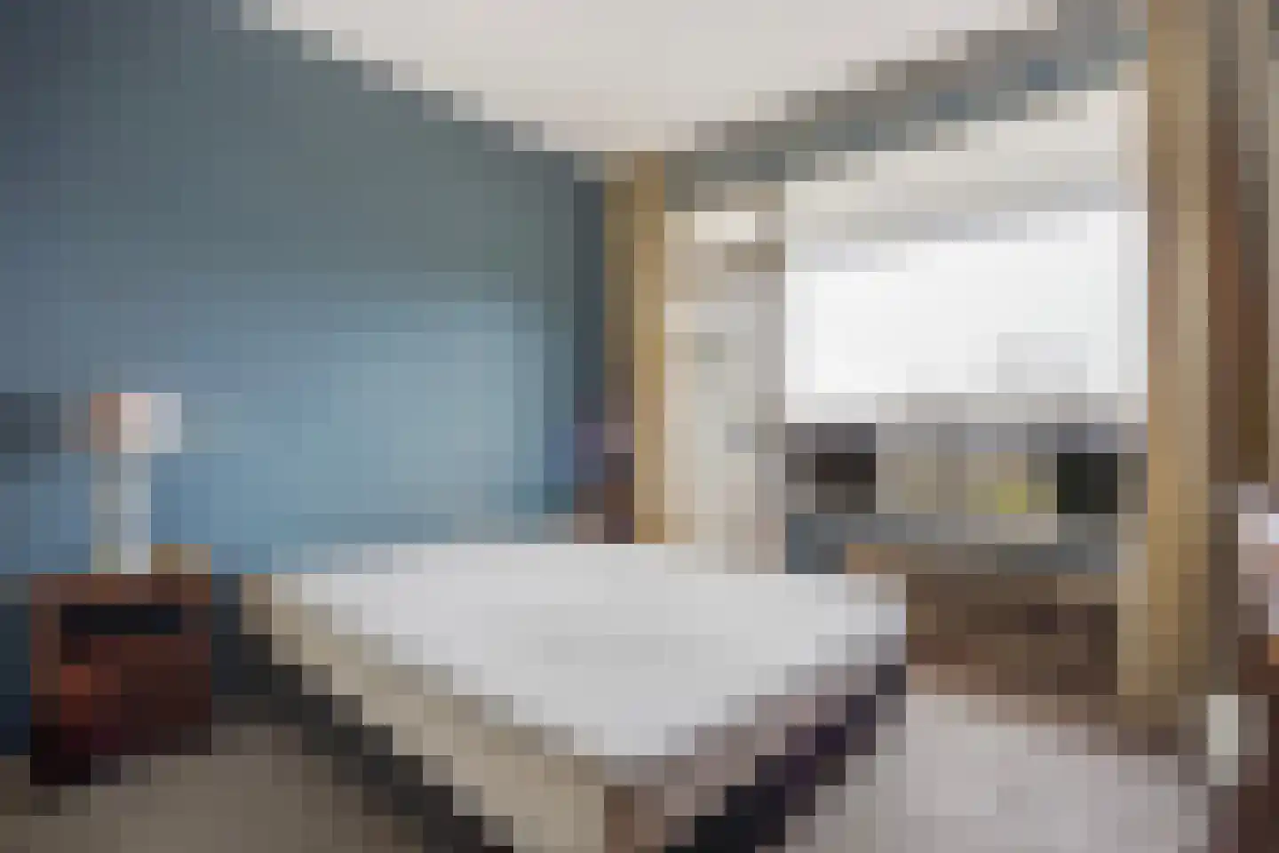 Segbroeklaan 424 N Den Haag thumbnail 28