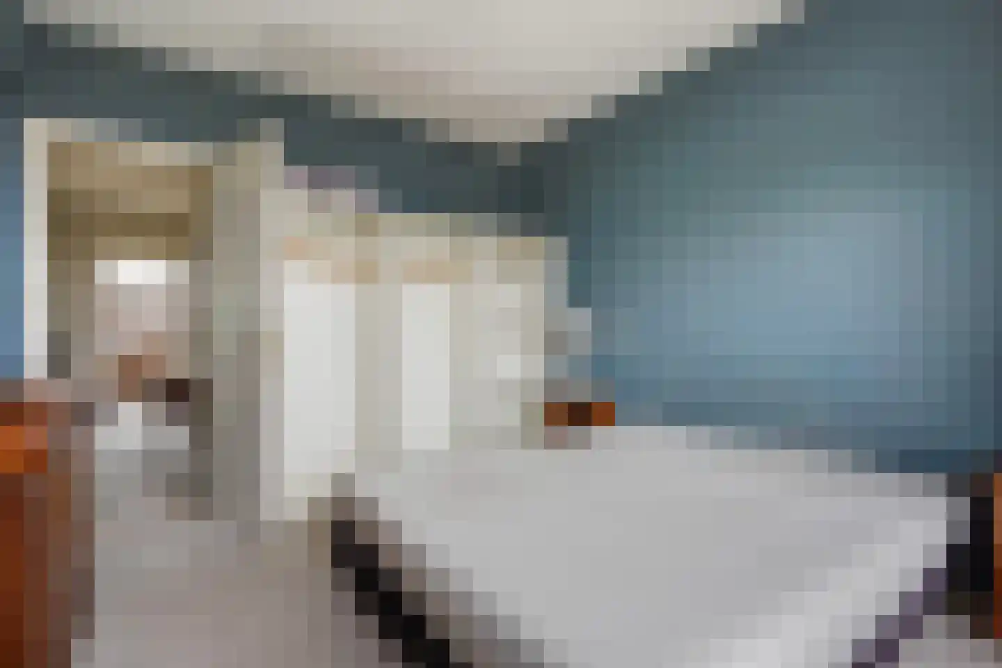 Segbroeklaan 424 N Den Haag thumbnail 30