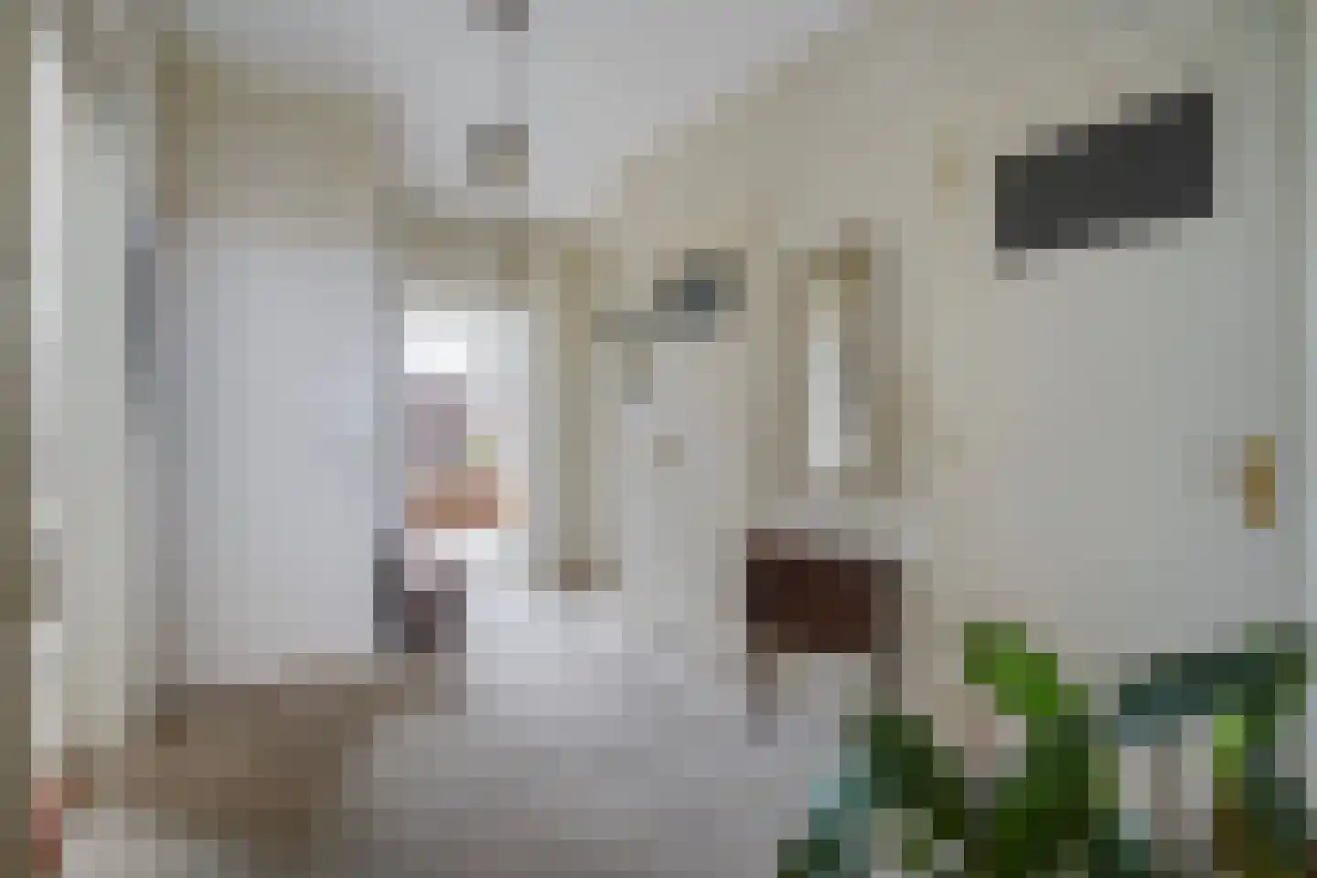 Segbroeklaan 424 N Den Haag thumbnail 31