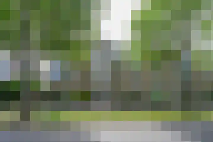 Segbroeklaan 444 in Den Haag