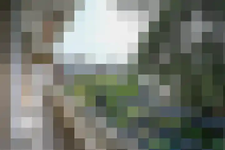 Segbroeklaan 444 Den Haag thumbnail 13