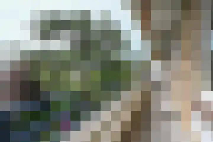 Segbroeklaan 444 Den Haag thumbnail 14