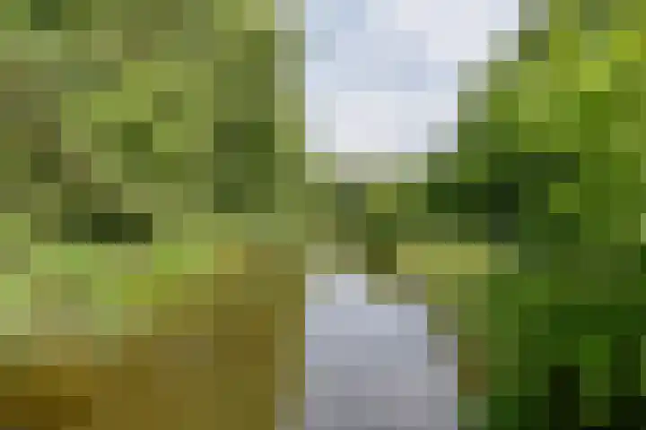 Segbroeklaan 444 Den Haag thumbnail 16