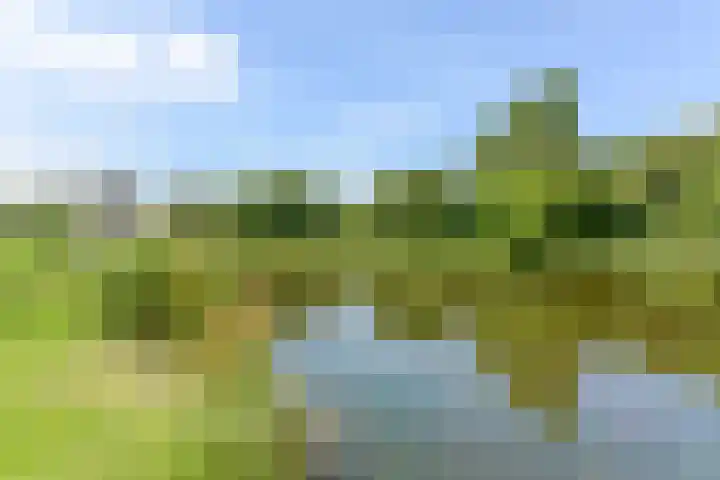 Segbroeklaan 444 Den Haag thumbnail 17