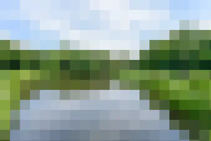 Segbroeklaan 444 Den Haag thumbnail 18