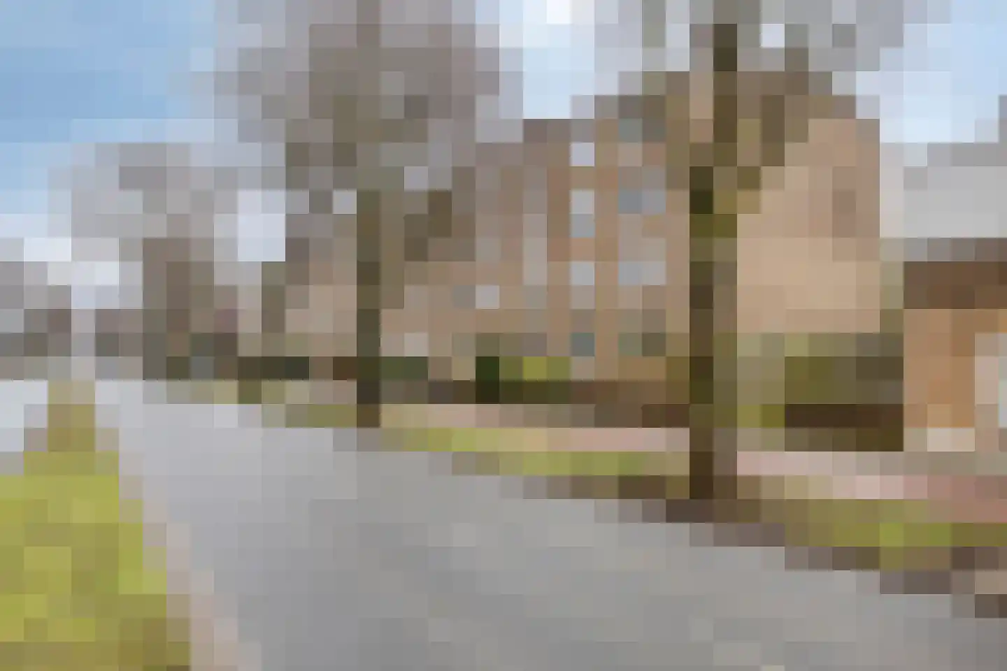 Segbroeklaan 498 in Den Haag