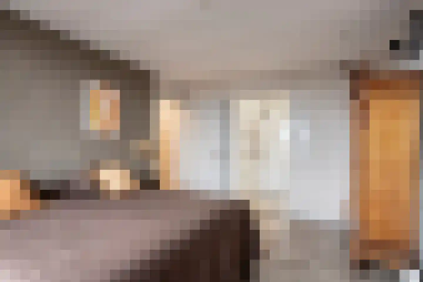 Segbroeklaan 498 Den Haag thumbnail 19