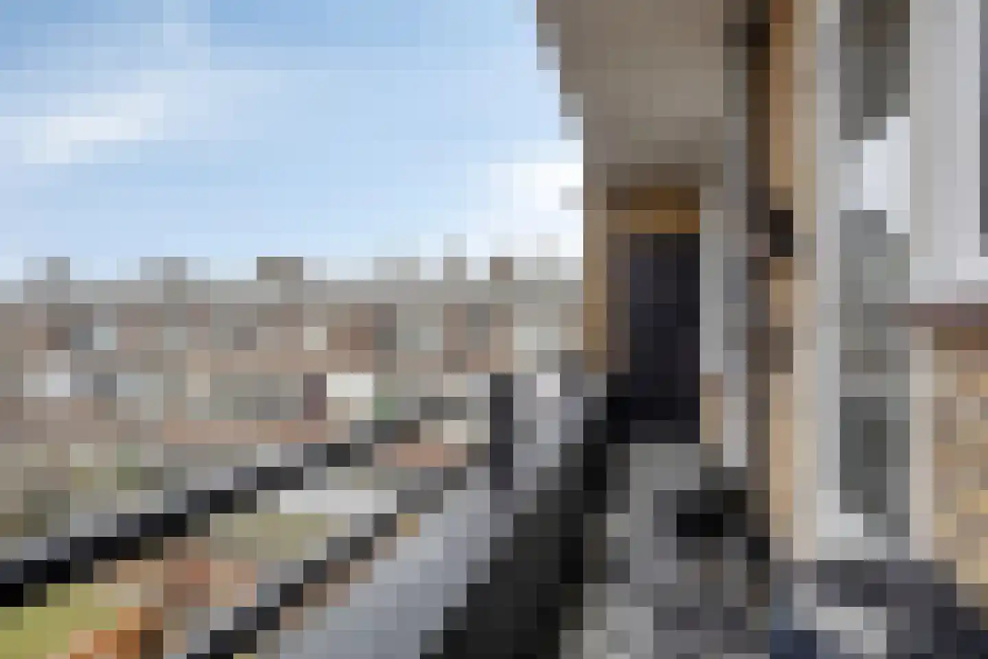 Segbroeklaan 498 Den Haag thumbnail 21
