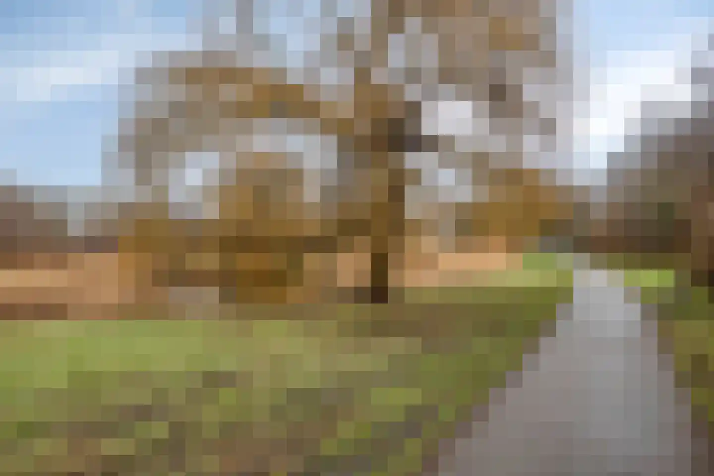 Segbroeklaan 498 Den Haag thumbnail 24