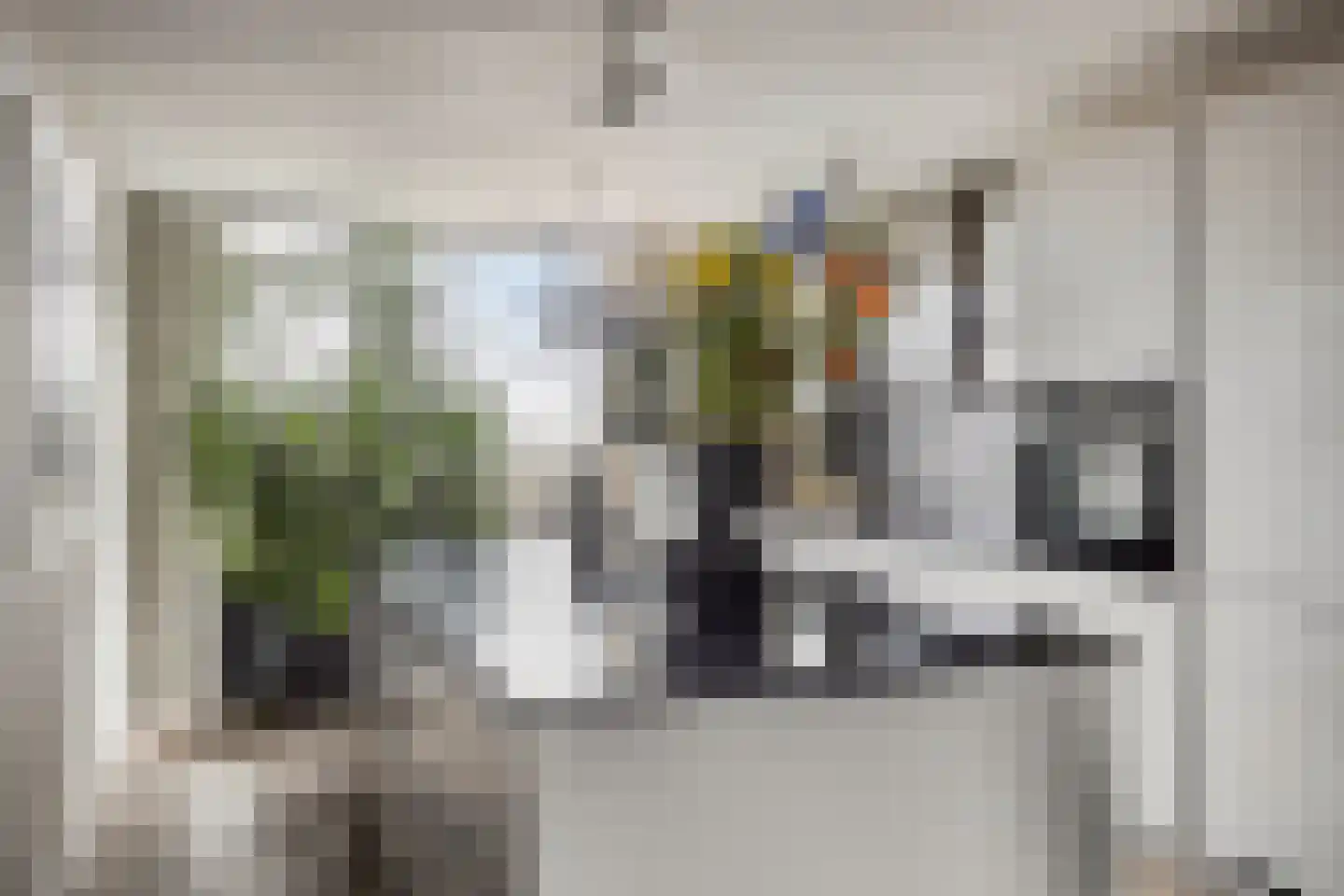 Segbroeklaan 498 Den Haag thumbnail 4